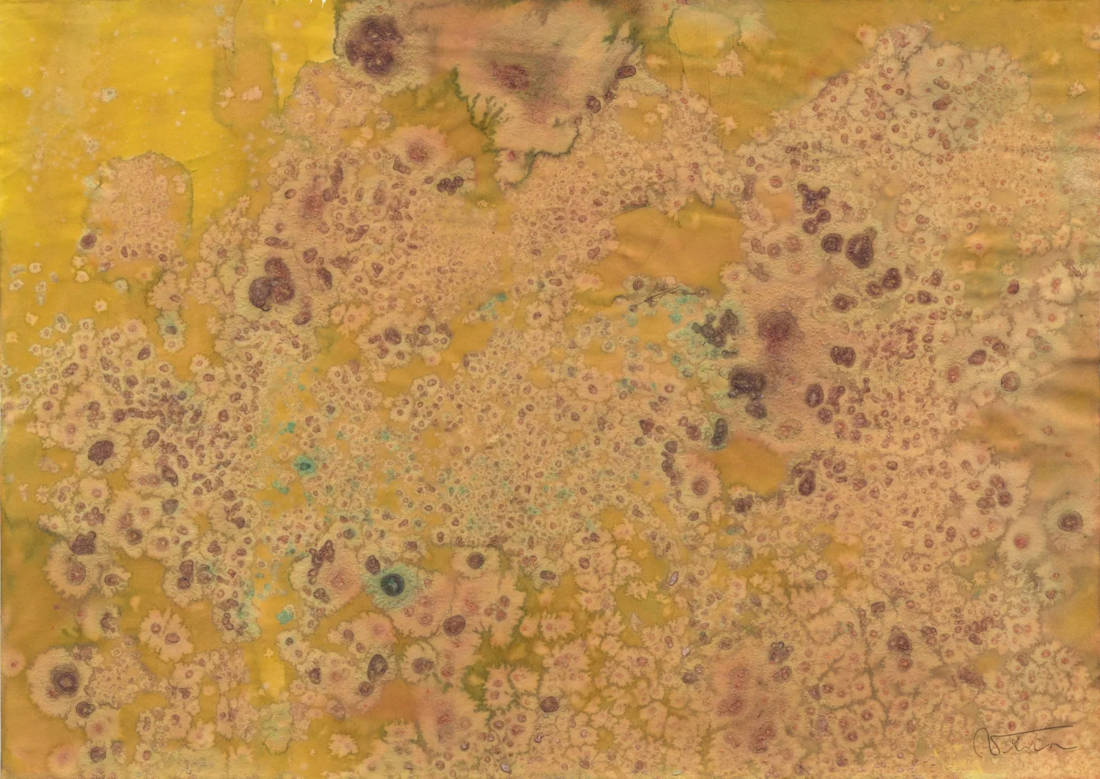 VITA ART, Plurality — Un campo ocre y dorado se cubre de innumerables manchas marrones, celulares.